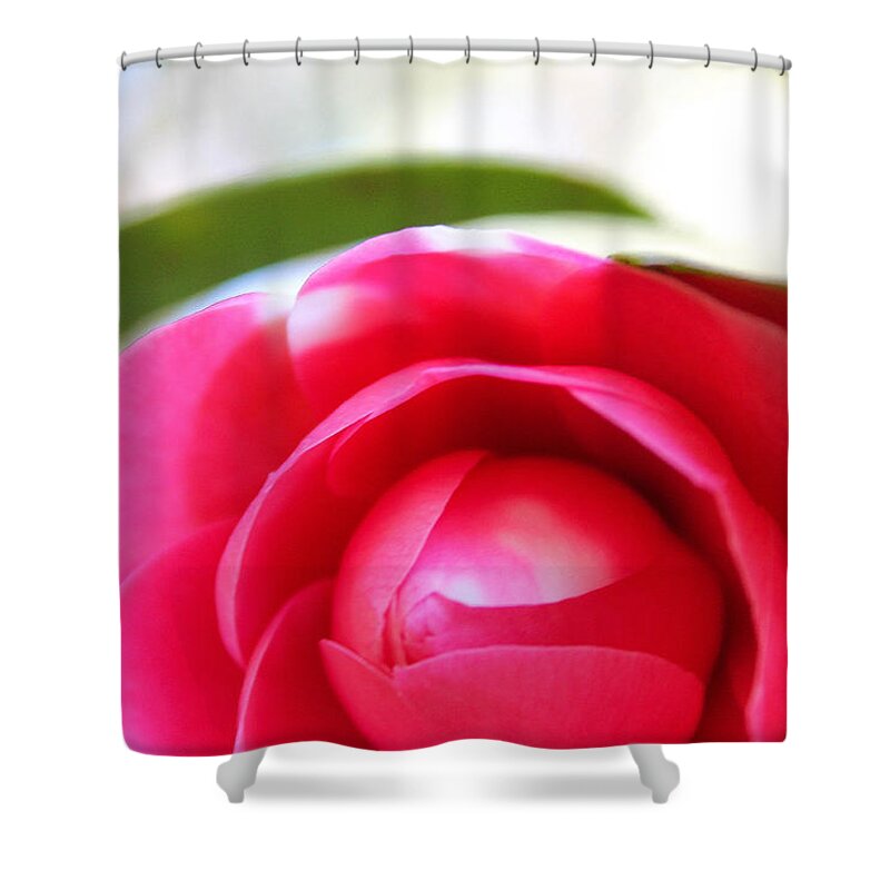Flower Shower Curtain featuring the photograph Beauty in bloom by Jessica Brown
