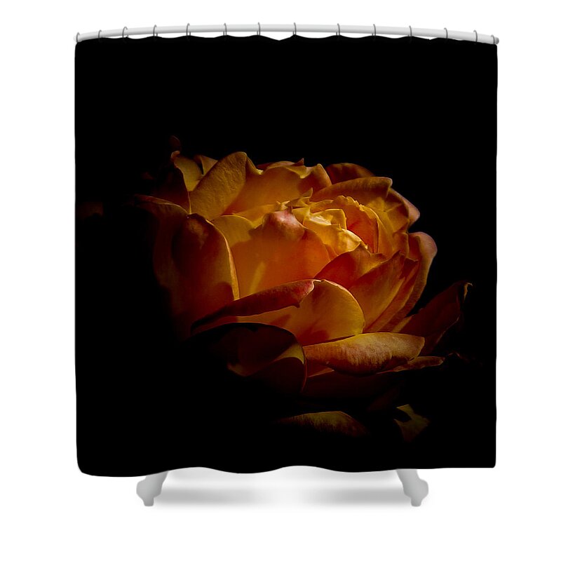 Rose Shower Curtain featuring the photograph Beauty of Life by Ernest Echols