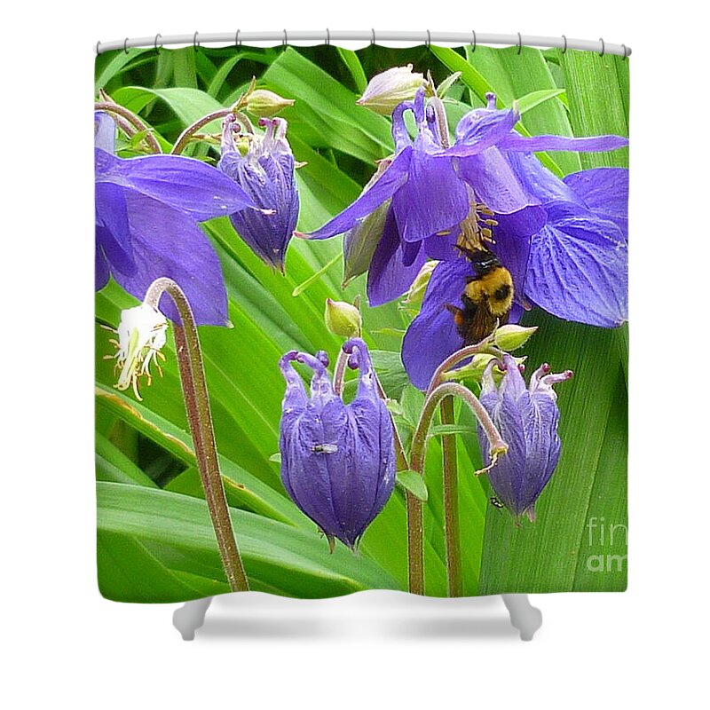 Floral Shower Curtain featuring the photograph BEE My BELLE by Lingfai Leung