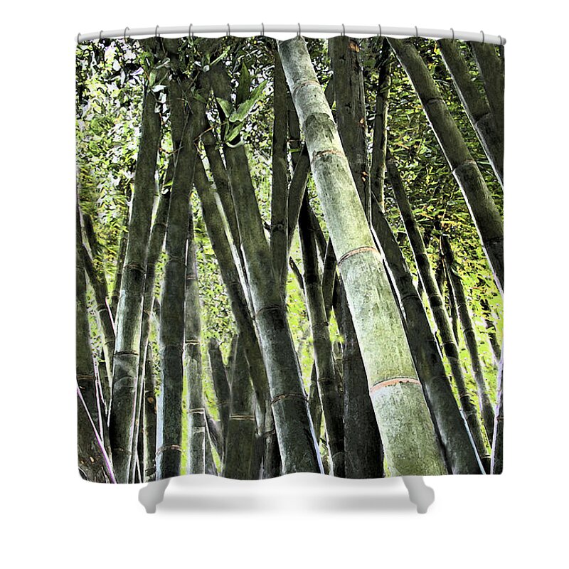 Bamboo Shower Curtain featuring the photograph Beechey Bamboo by Andre Aleksis