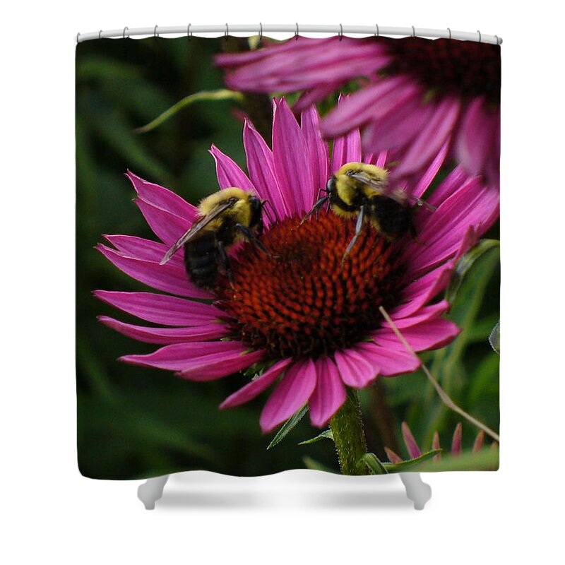 Bees Shower Curtain featuring the photograph Beelievers by Lingfai Leung