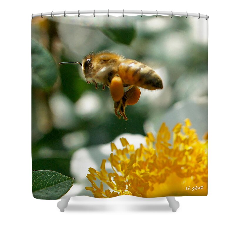 Bee Shower Curtain featuring the photograph Bee's Feet Squared by TK Goforth