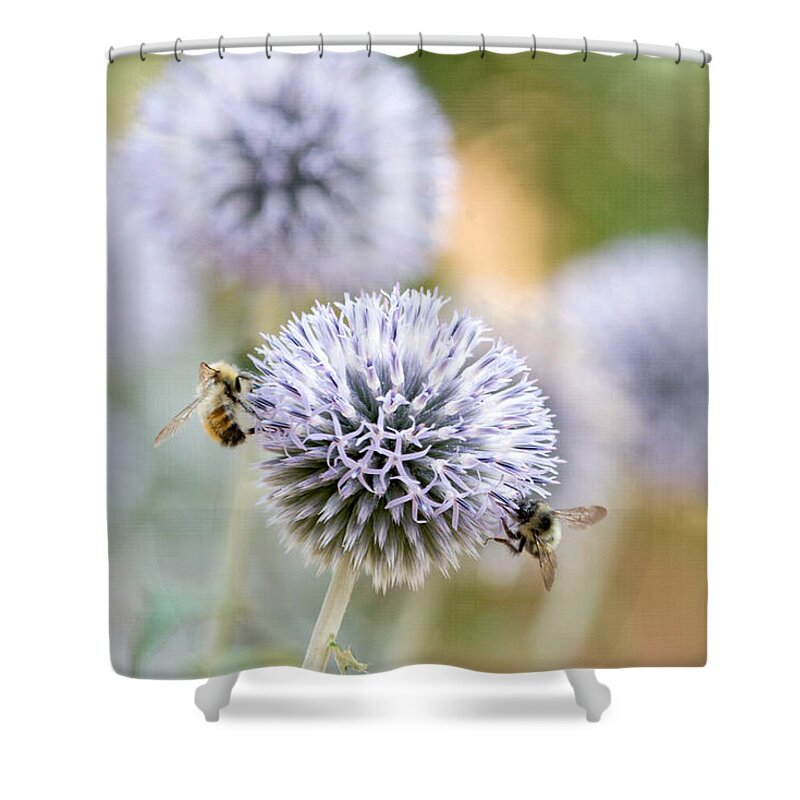 Bees Shower Curtain featuring the photograph Bees in the Garden by Peggy Collins
