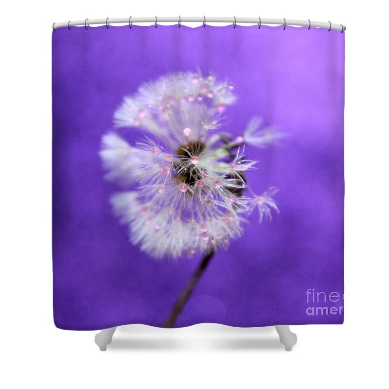 Dandelion Shower Curtain featuring the photograph Believe by Krissy Katsimbras