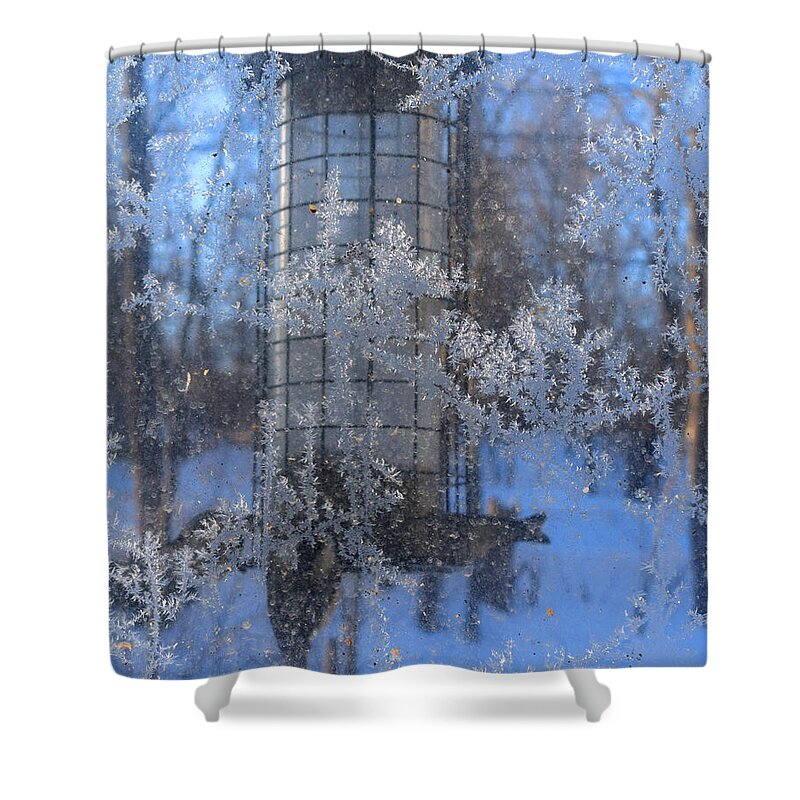 Bird Feeder Shower Curtain featuring the photograph Below Zero by R Allen Swezey