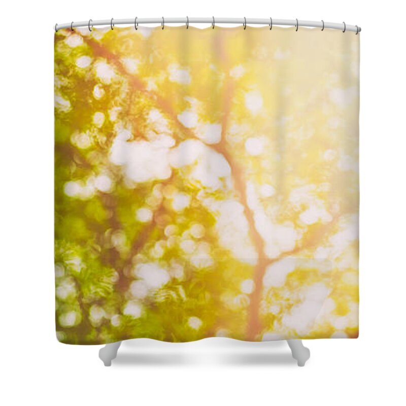 Abstract Shower Curtain featuring the photograph Beneath a tree 14 5199  Diptych Set 1 of 2 by U Schade