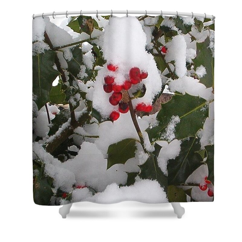 Holly Berries Shower Curtain featuring the photograph Berried In Snow by Wayne Enslow