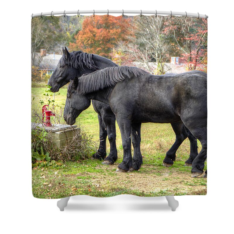 Horse Shower Curtain featuring the photograph Best Friends by Donna Doherty
