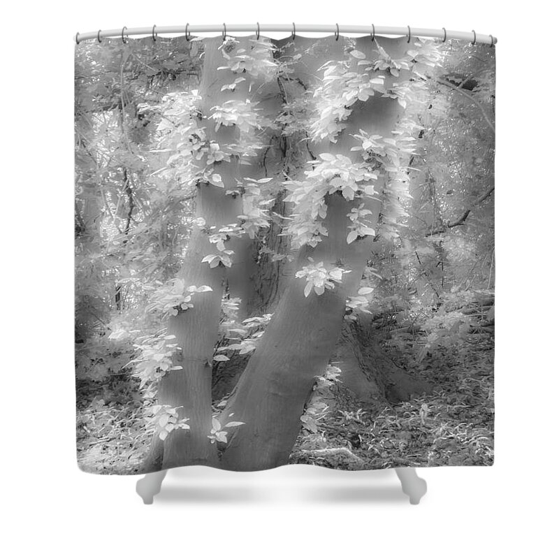 Between Black And White Shower Curtain featuring the photograph Between Black and White-10 by Casper Cammeraat