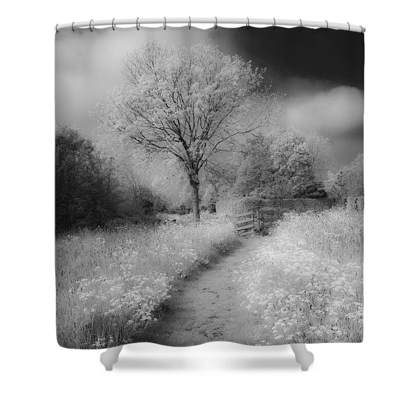 Between Black And White Shower Curtain featuring the photograph Between Black and White-23 by Casper Cammeraat