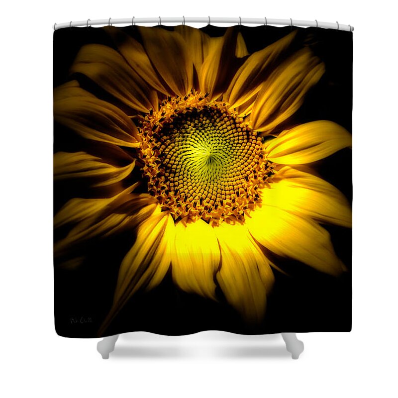 Sunflower Shower Curtain featuring the photograph Between Here And There by Bob Orsillo
