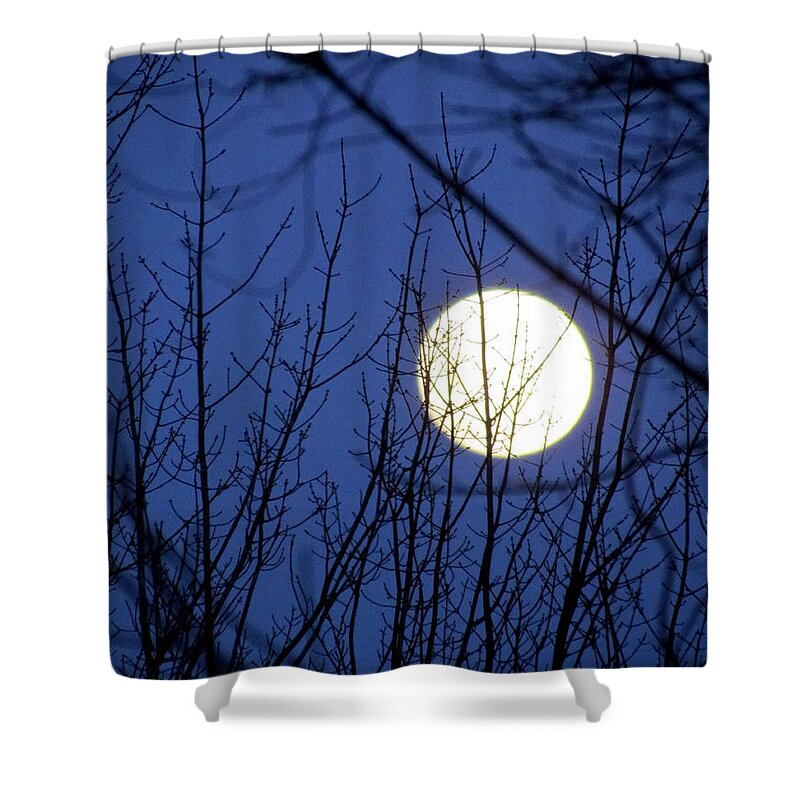 Full Moon Shower Curtain featuring the photograph Beware the Ides of March by Elizabeth Dow