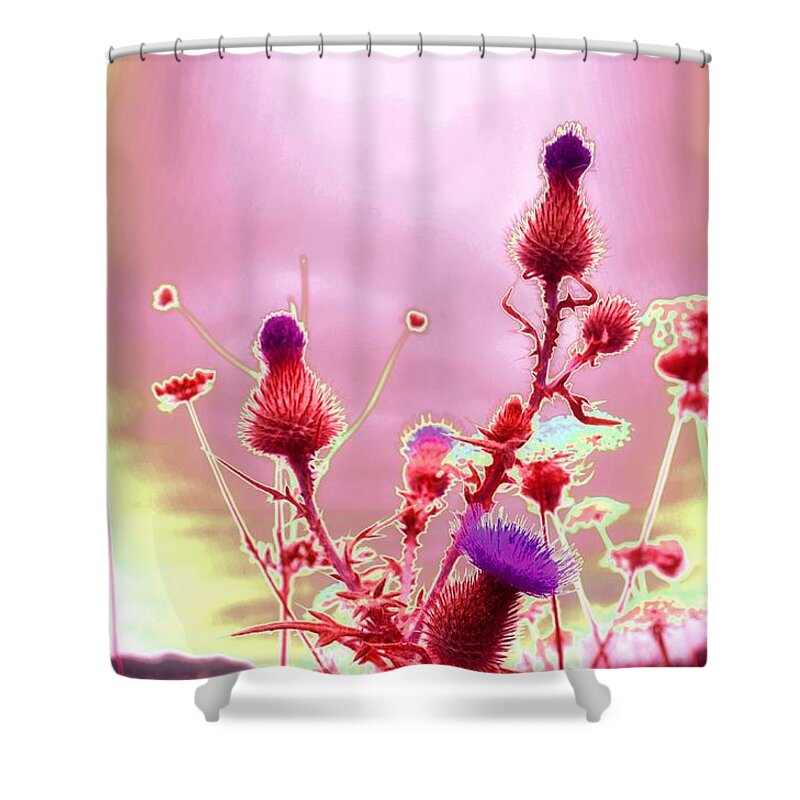Thistle Shower Curtain featuring the photograph Bewitching Triad by Laureen Murtha Menzl
