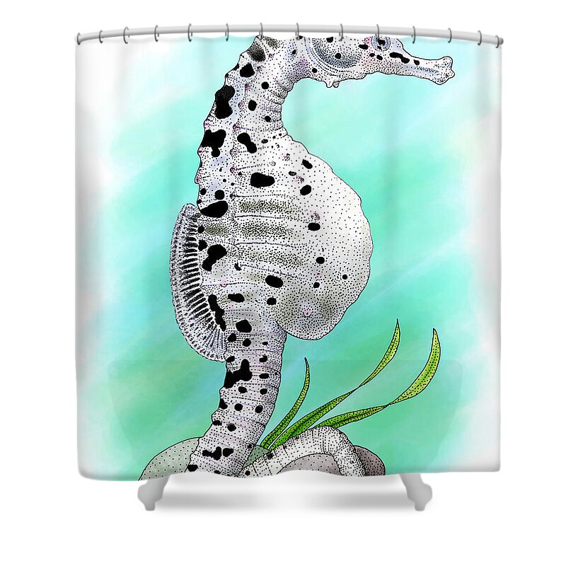 Illustration Shower Curtain featuring the photograph Big Belly Seahorse by Roger Hall