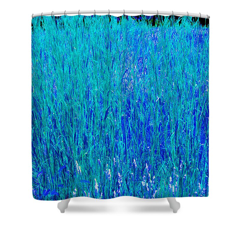 Tall Prairie Grasses Shower Curtain featuring the photograph Big Bluestem Grass Impressions by Robert J Sadler