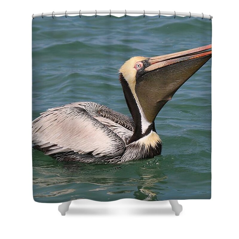 Brown Shower Curtain featuring the photograph Big Gulp by Christy Pooschke
