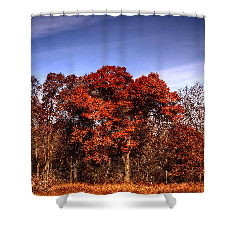 Fall Shower Curtain featuring the photograph Big Red by Thomas Young