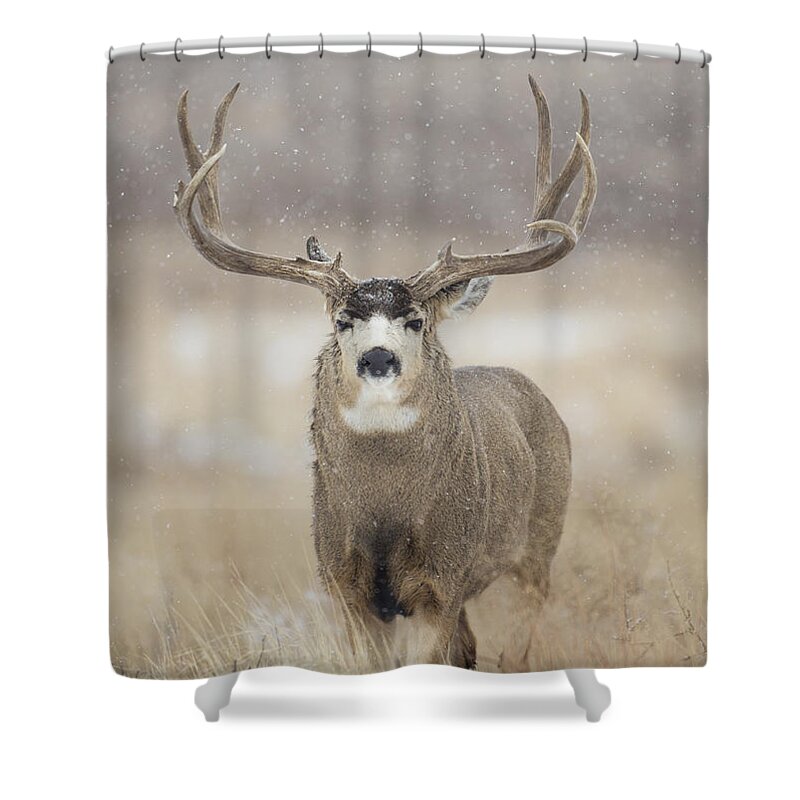 Snow Shower Curtain featuring the photograph Big Sky on Snowy Day by D Robert Franz
