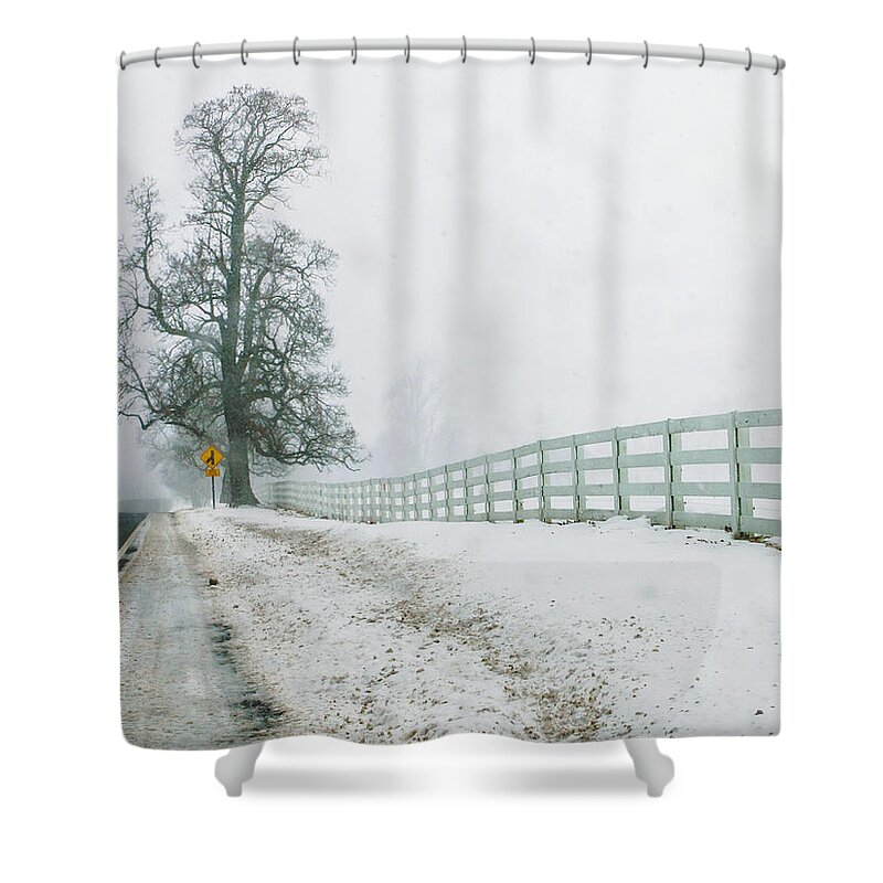 Nature Shower Curtain featuring the photograph Big Tree in Snow Storm by Louis Dallara