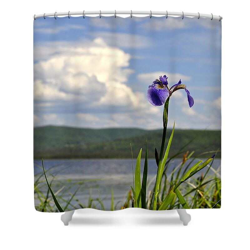 Iris Shower Curtain featuring the photograph Birch Lake Iris by Cathy Mahnke
