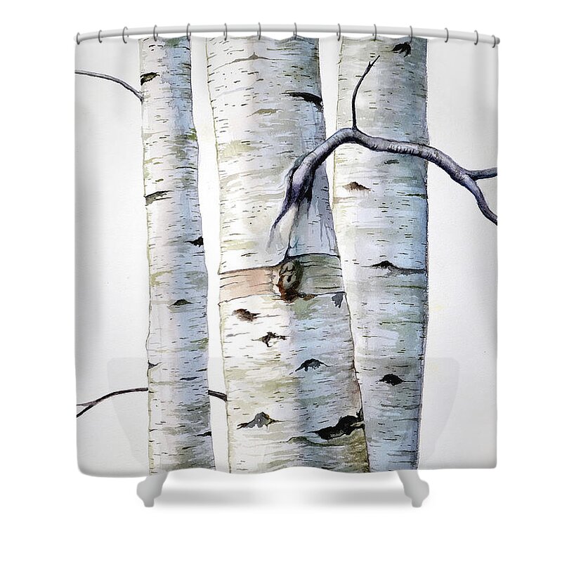 Birch Shower Curtain featuring the painting Birch Trees in watercolor by Christopher Shellhammer