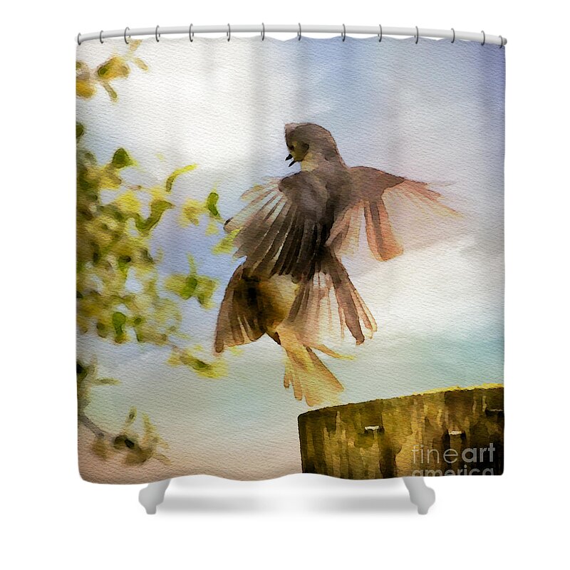 Bird Shower Curtain featuring the photograph Bird Dance by Kerri Farley