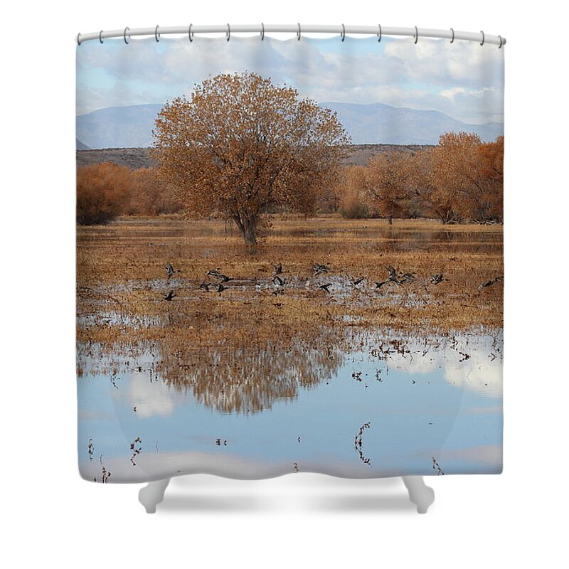 New Mexico Shower Curtain featuring the photograph Bird Heaven by Ruth Jolly