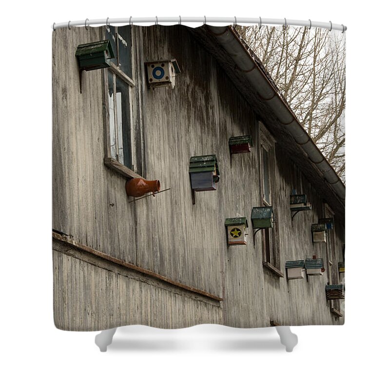 Bird Houses Shower Curtain featuring the photograph Bird Houses by Jay Ressler