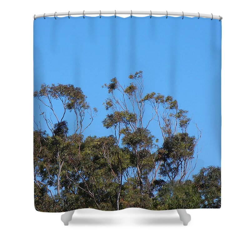 Bird Shower Curtain featuring the photograph Bird In A Tree by Mark Blauhoefer