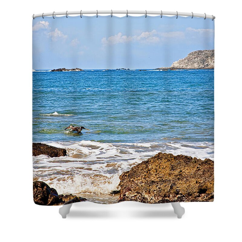 Bird Shower Curtain featuring the photograph Bird in Water by Madeline Ellis