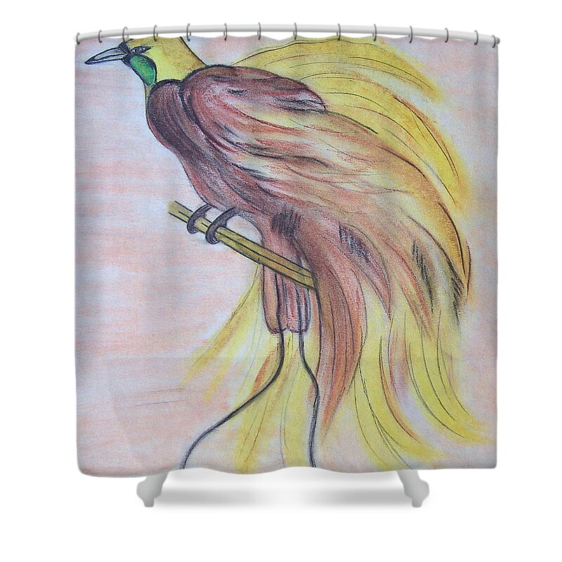 Bird Shower Curtain featuring the drawing Bird of Paradise by Susan Turner Soulis