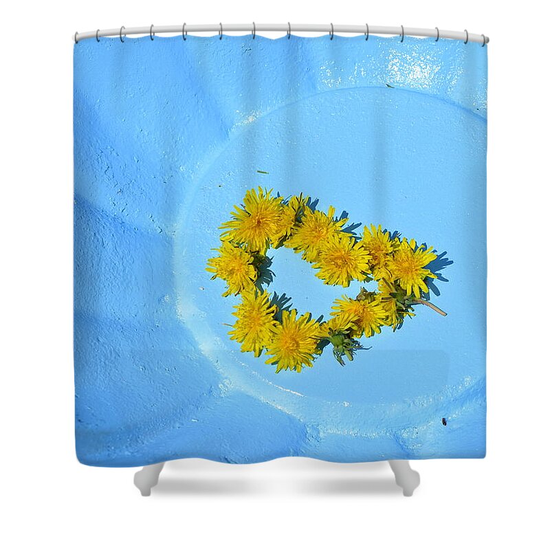 Birdbath Shower Curtain featuring the photograph Birdbath and Dandelions by Kathy Barney