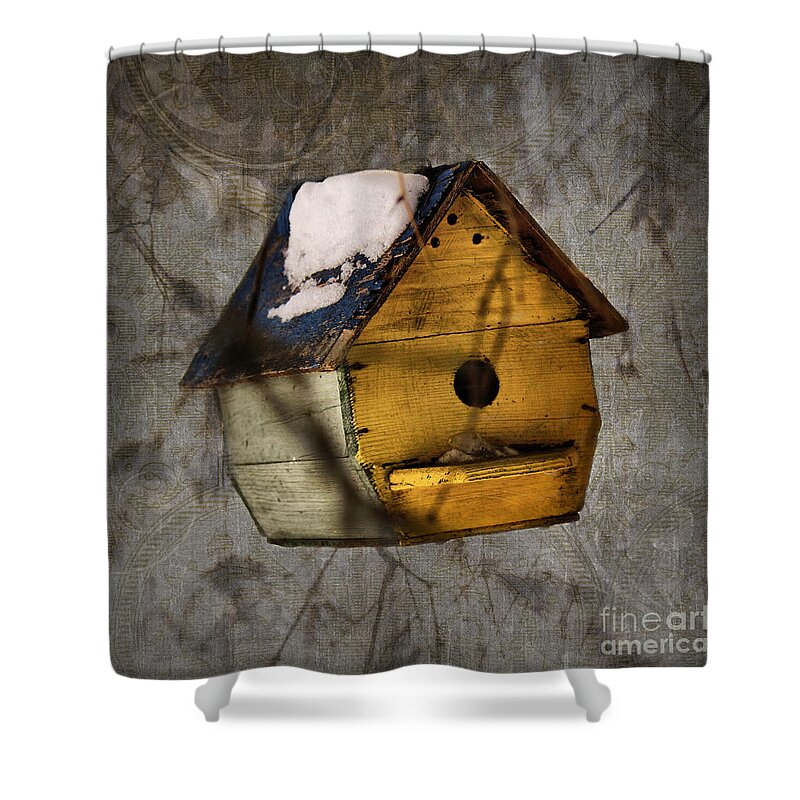 Birdhouse Shower Curtain featuring the photograph Birdhouse by Aimelle Ml
