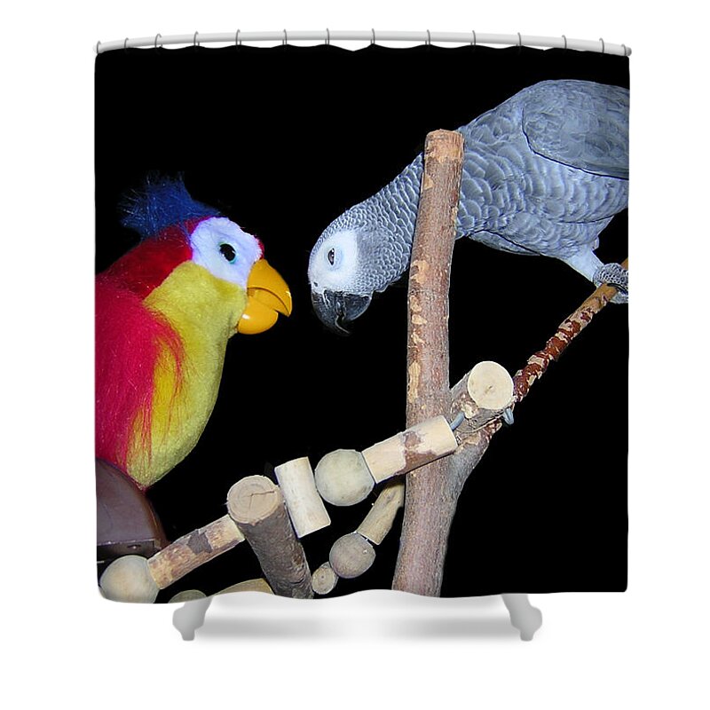 African Grey Shower Curtain featuring the photograph Birdo by Mim White