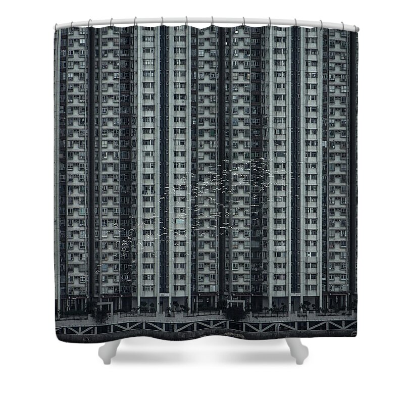 New Territories Shower Curtain featuring the photograph Birds Flying Against Dense Highrise by D3sign