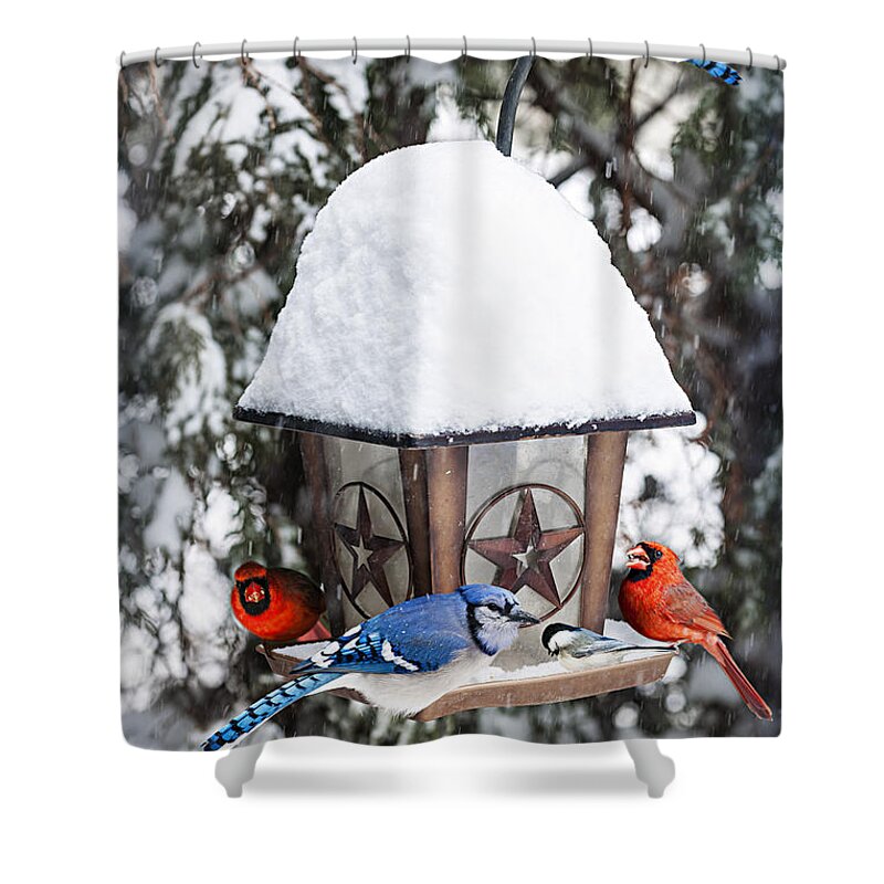 Birds Shower Curtain featuring the photograph Birds on bird feeder in winter by Elena Elisseeva