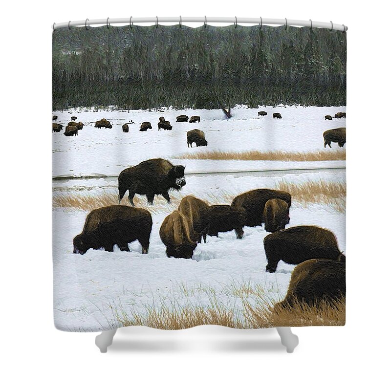 Wild Bison Shower Curtain featuring the mixed media Bison Cows Browsing by Kae Cheatham