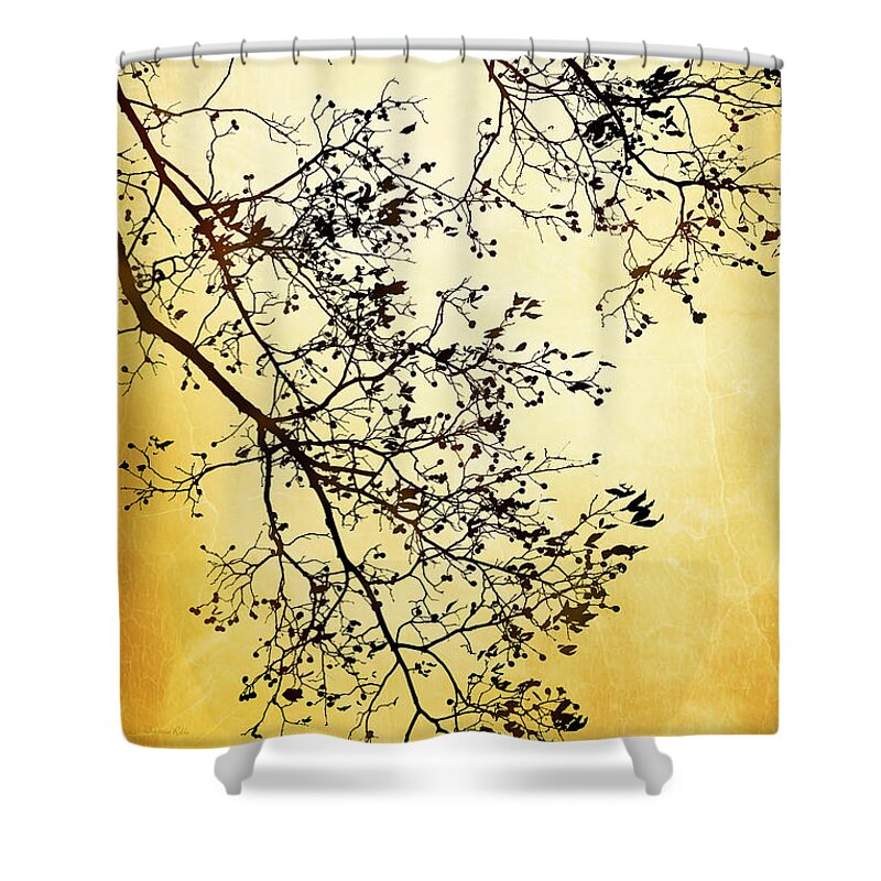 Tree Shower Curtain featuring the mixed media Black And Gold Tree by Christina Rollo