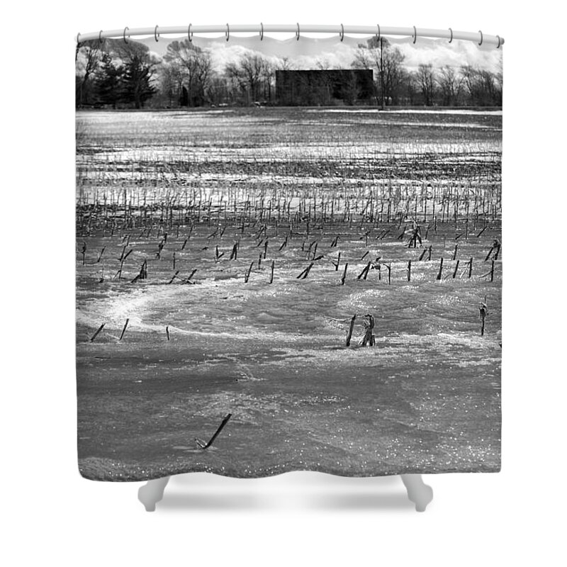 Artic Thaw Shower Curtain featuring the photograph Black and white field by Tracy Winter