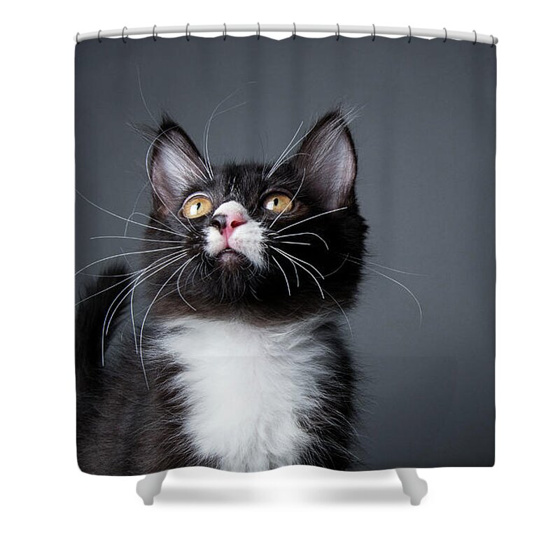 Pets Shower Curtain featuring the photograph Black And White Kitten - The Amanda by Amandafoundation.org