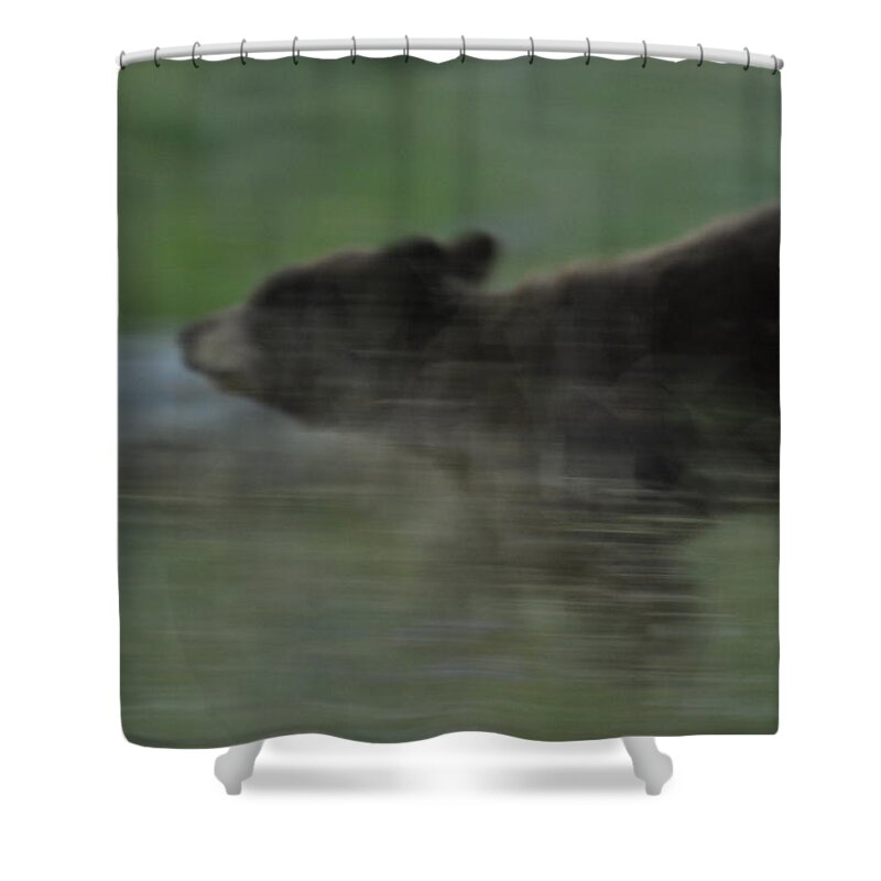 Black Bear Shower Curtain featuring the photograph Black Bear Cub by Frank Madia