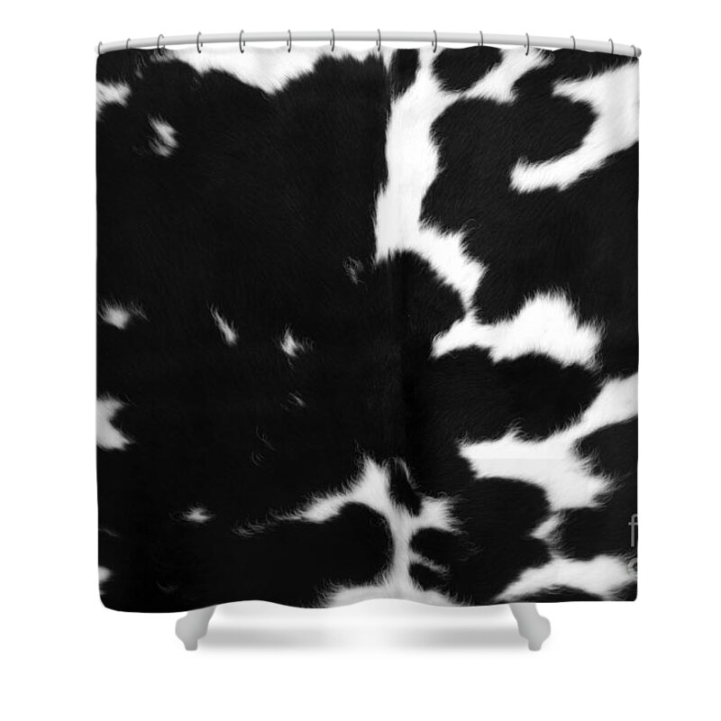 Black Cowhide Shower Curtain For Sale By Gunter Nezhoda