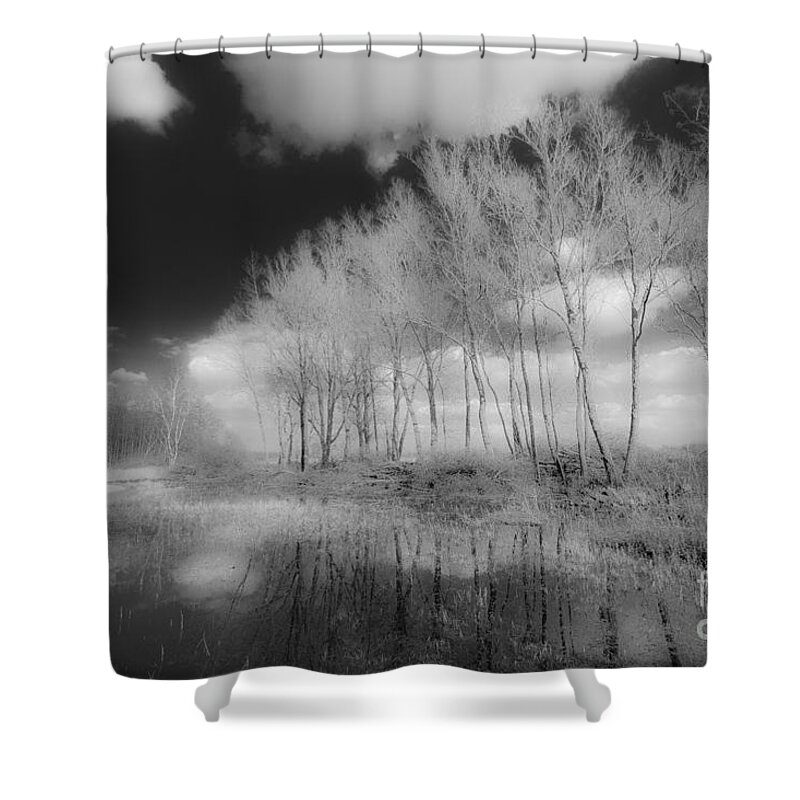 Reeuwijkse Hout Shower Curtain featuring the photograph Black is beautiful-3 by Casper Cammeraat