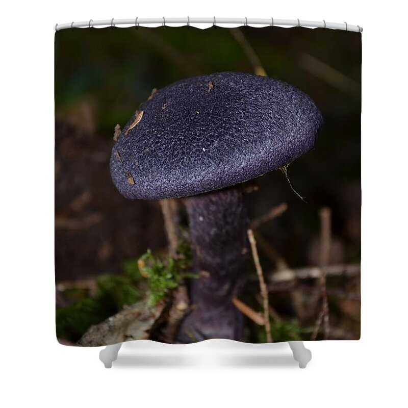Black Mushroom Shower Curtain featuring the photograph Black Mushroom by Laureen Murtha Menzl