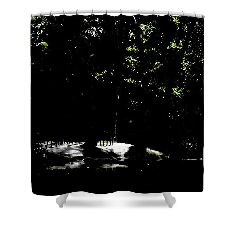 Nature Shower Curtain featuring the photograph Black by Oksana Semenchenko
