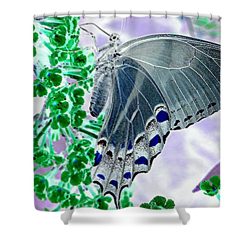 Flower Shower Curtain featuring the photograph Black Swallowtail Abstract by Kim Galluzzo