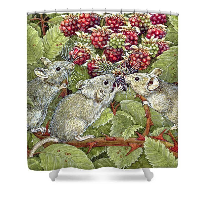 Field Mouse Shower Curtain featuring the painting Blackberrying by Ditz