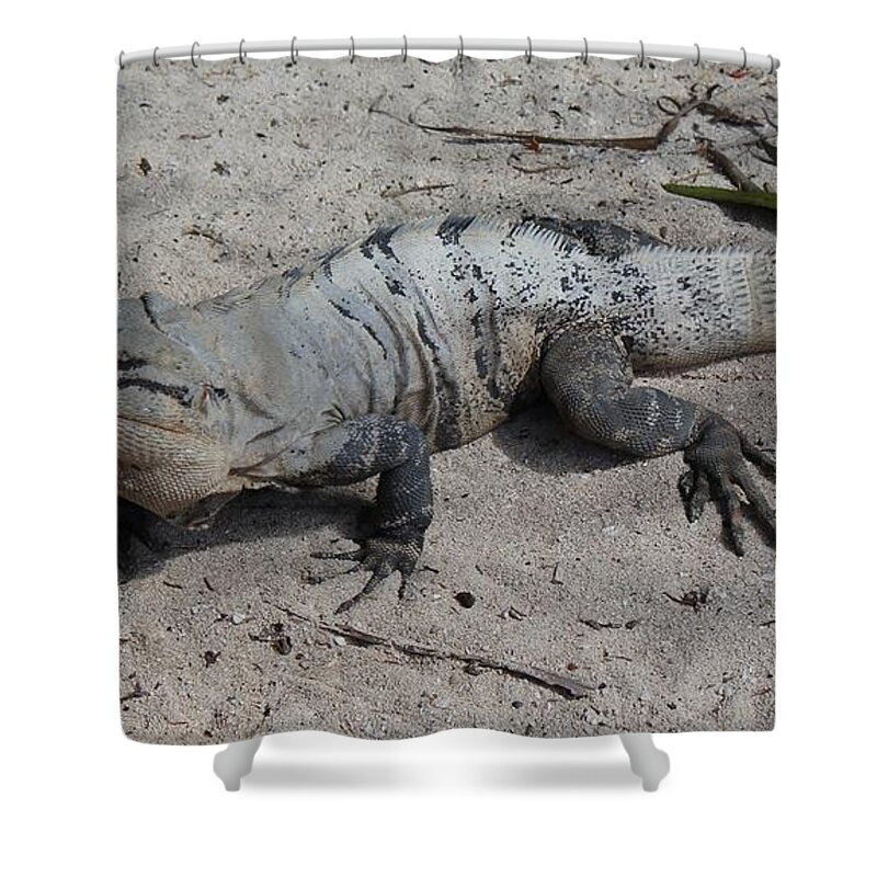 Iguana Shower Curtain featuring the photograph Blending In by Beth Wiseman