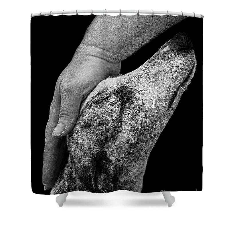 Blind Shower Curtain featuring the photograph Blind Faith by Linsey Williams