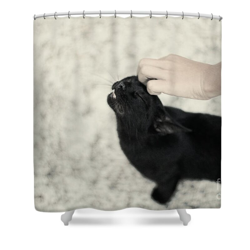 Black Shower Curtain featuring the photograph Bliss Number 2 by Jasna Buncic